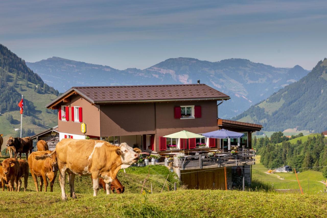 The Swiss Paradise 2 With Garden, Whirlpool, And Mountain Panorama Apartment *